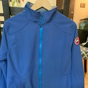 Bracebridge canada goose -